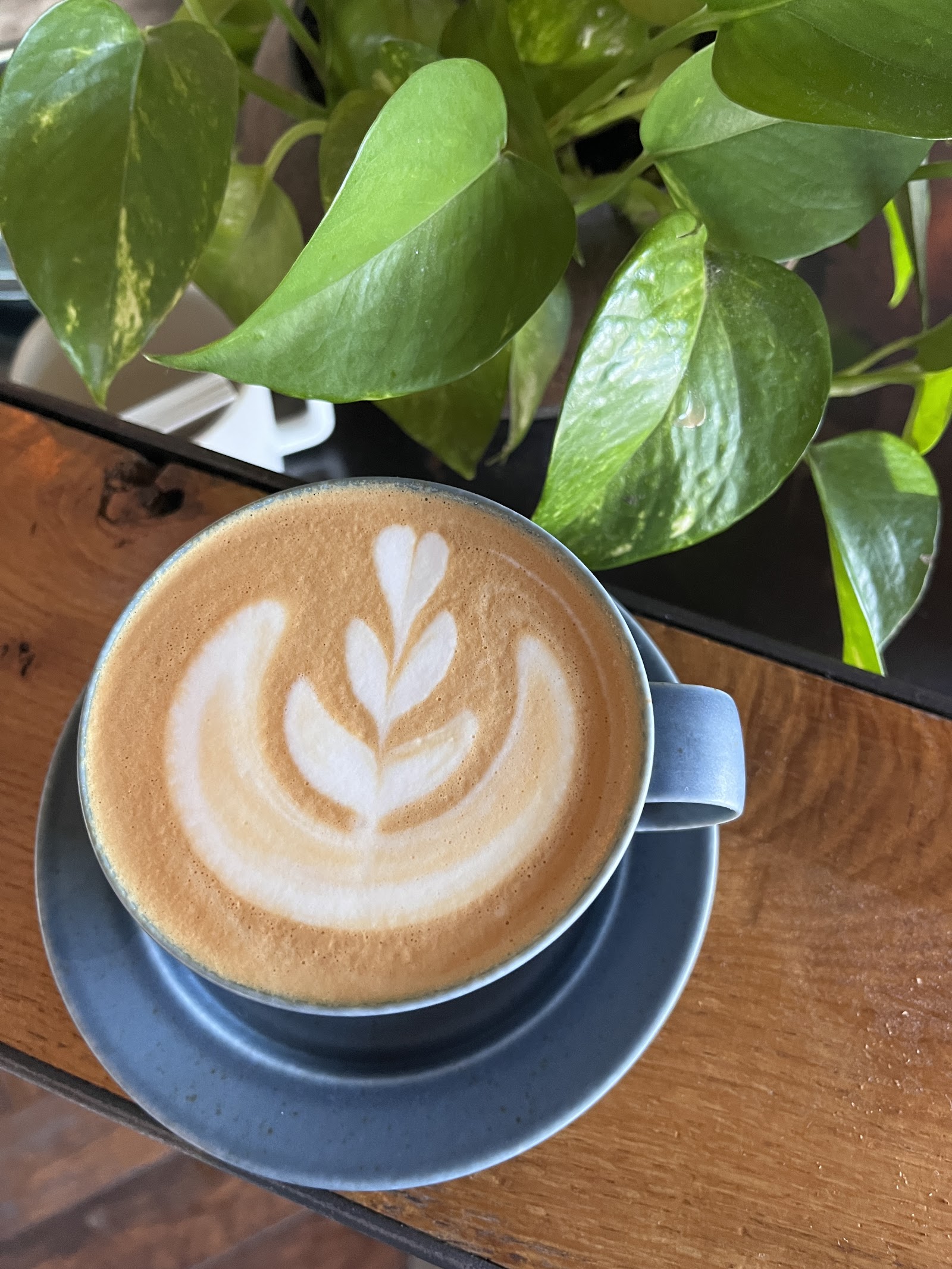 Corvus Coffee — photo 4