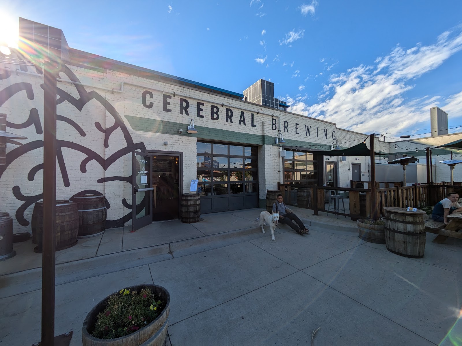 Cerebral Brewing — photo 5