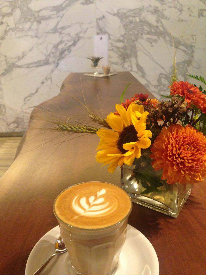 Little Owl Coffee — photo 2