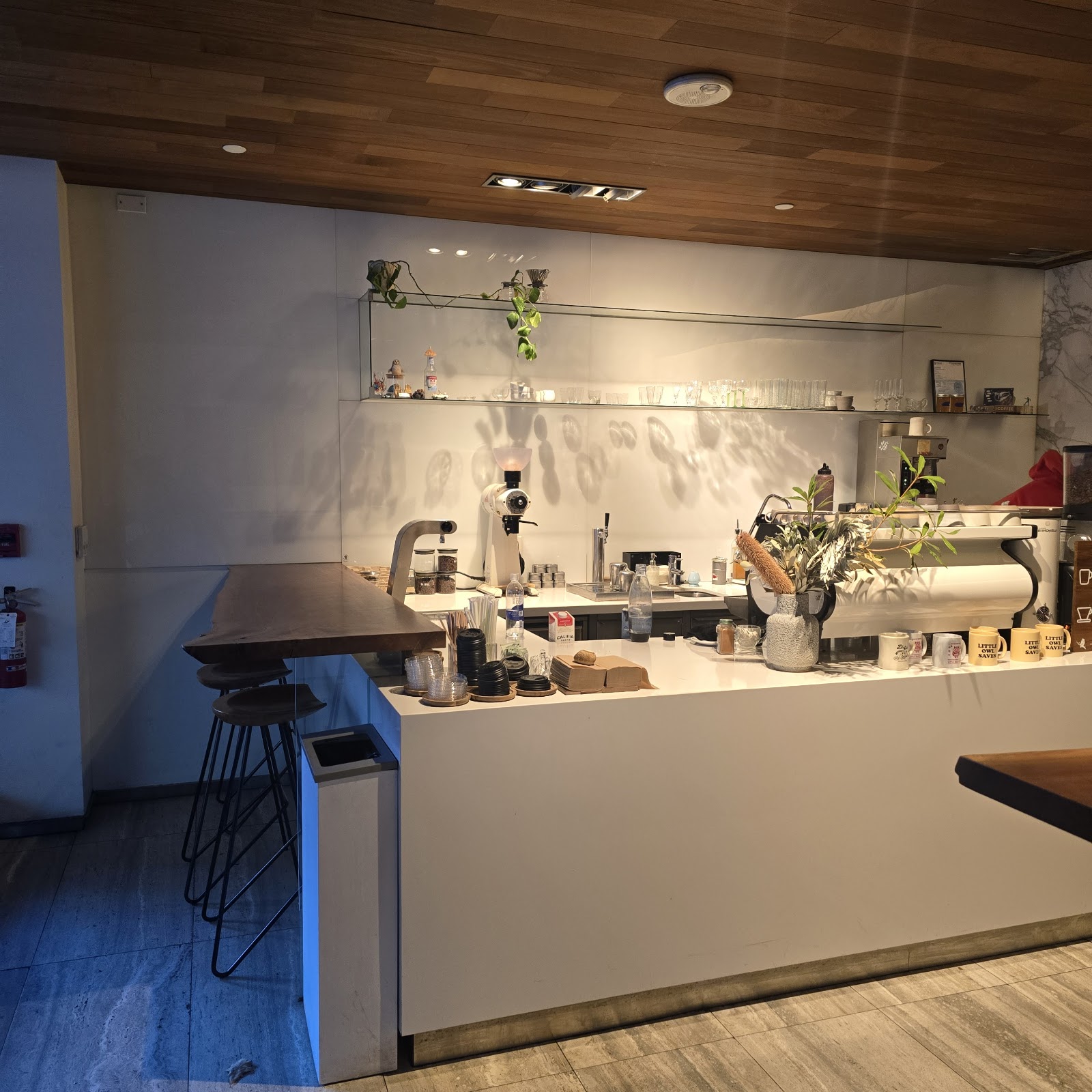 Little Owl Coffee — photo 4